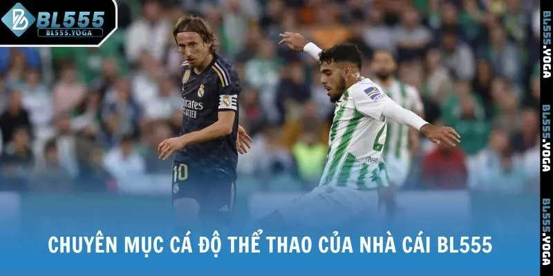 Chuyên mục cá độ thể thao của nhà cái BL555